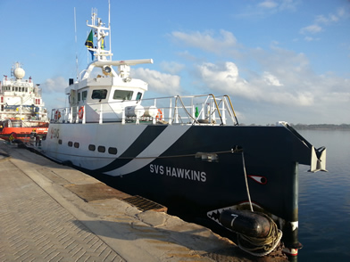 Tanzania-SVS-Hawkins-2